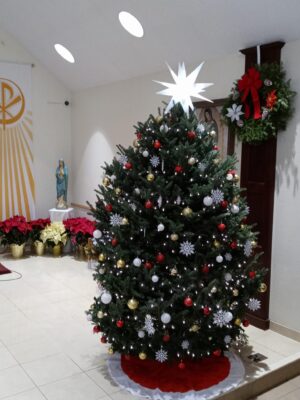IMG-20211223-WA0003