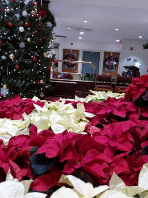 IMG-20211223-WA0004