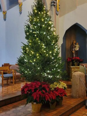 IMG_20211223_074114