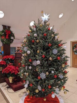 PXL_20211222_163322086